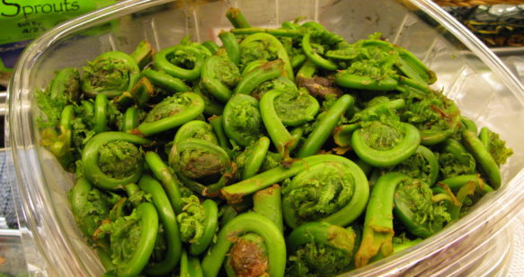 Marinated Fiddlehead Ferns