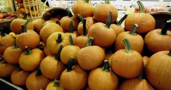 Pumpkin Tiramisu