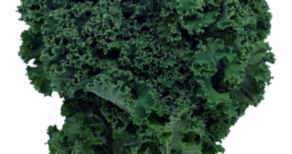 Kale Apple Coleslaw with Almonds, Raisins, and Poppy Seed Dressing