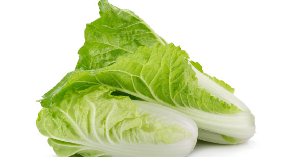 Napa Cabbage Shredded