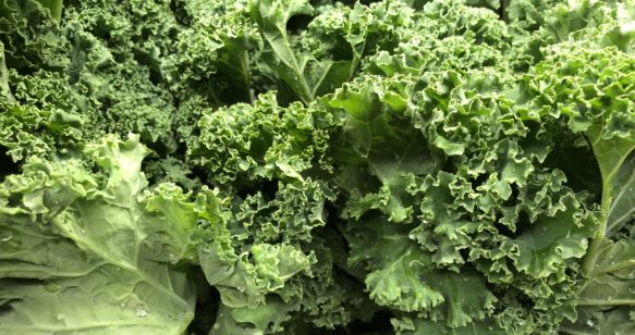 Kale Carrot Cabbage Slaw with Sunflower Seeds