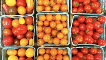 Local cherry tomatoes at the Fruit Center Marketplace