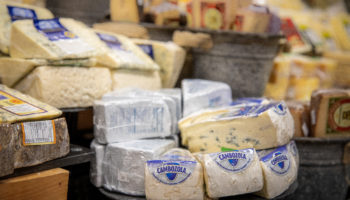Cheese