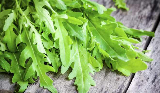 Salad Greens