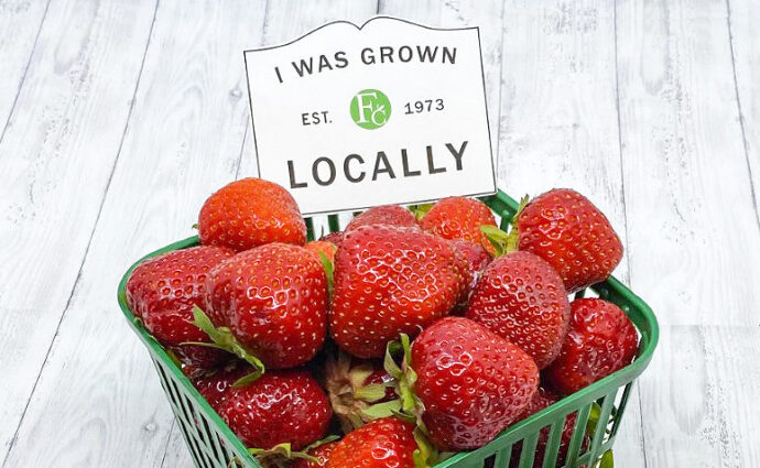 Local strawberries at the Fruit Center Marketplace
