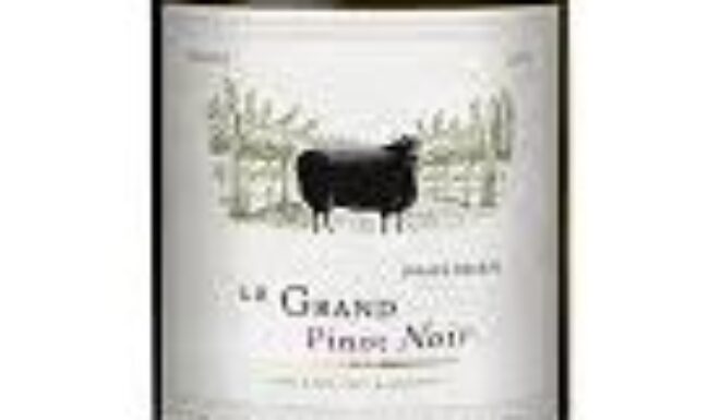 Le Grand Noir Pinot Noir 2020