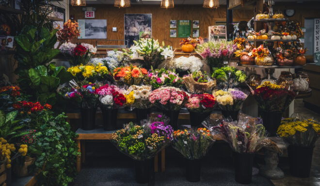 Flowers